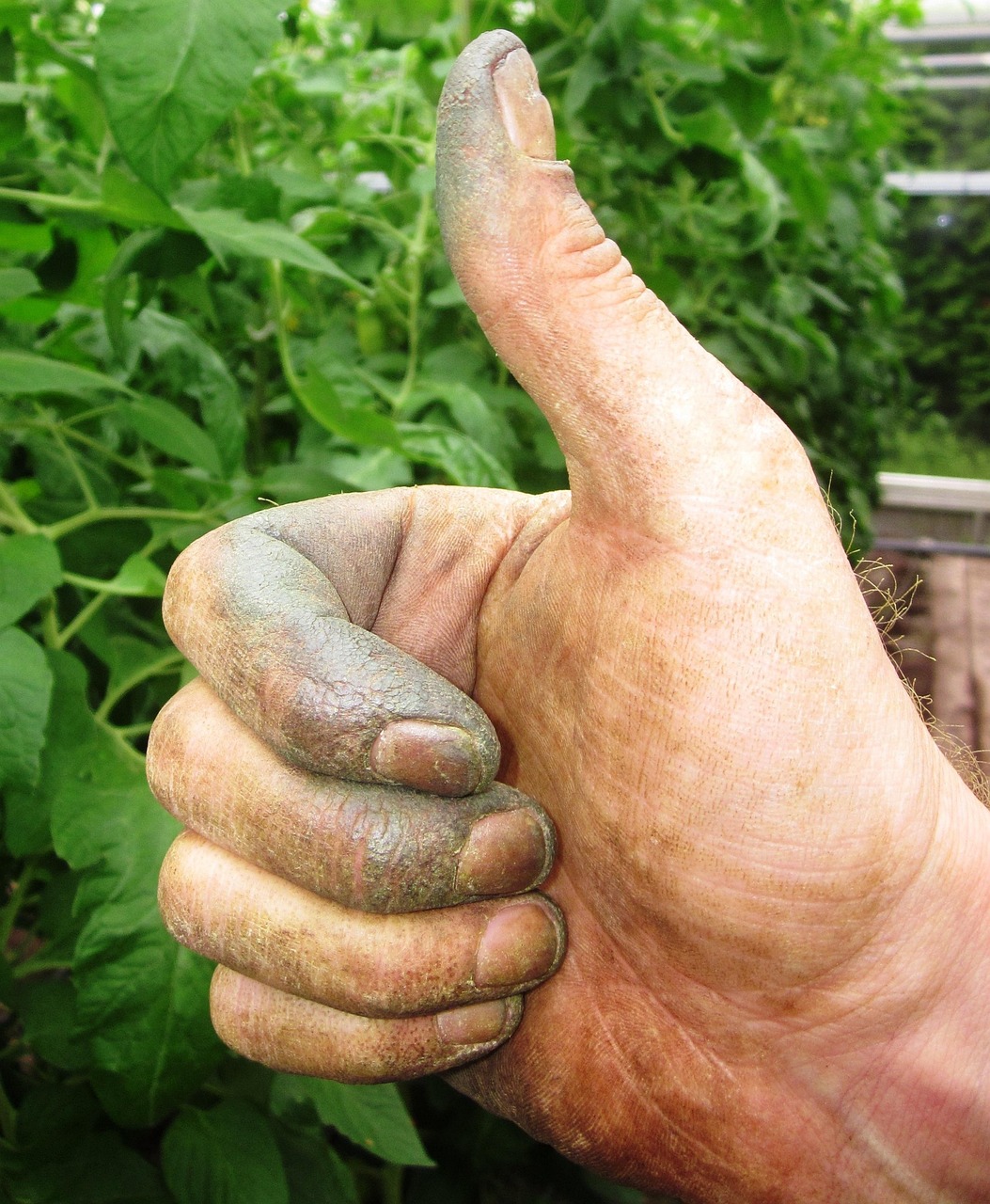 New Hampshire pollinator gardener supporting native bee and butterfly conservation